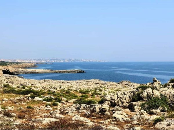 terreno agricolo in vendita a Siracusa in zona Isola / Plemmirio