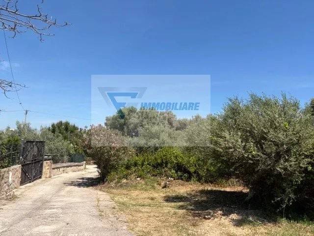 terreno agricolo in vendita a Siracusa in zona Belvedere