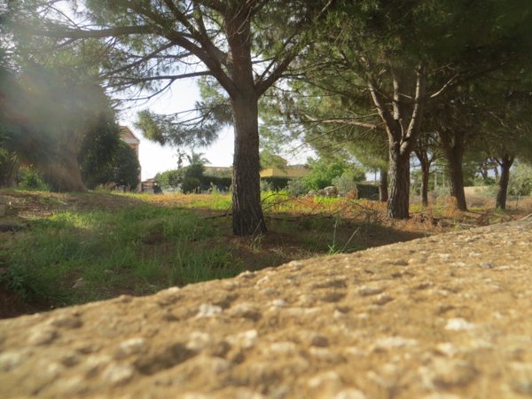 casa indipendente in vendita a Siracusa in zona Scala Greca