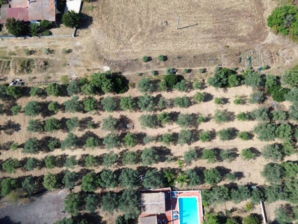 terreno agricolo in vendita a Siracusa in zona Ognina