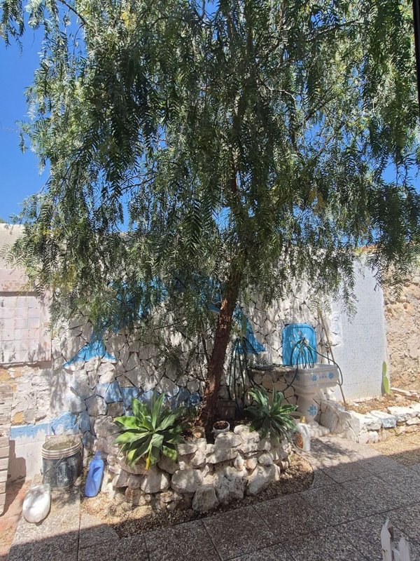 casa indipendente in vendita a Siracusa