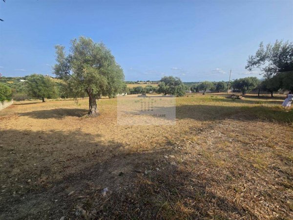 terreno agricolo in vendita a Siracusa in zona Belvedere