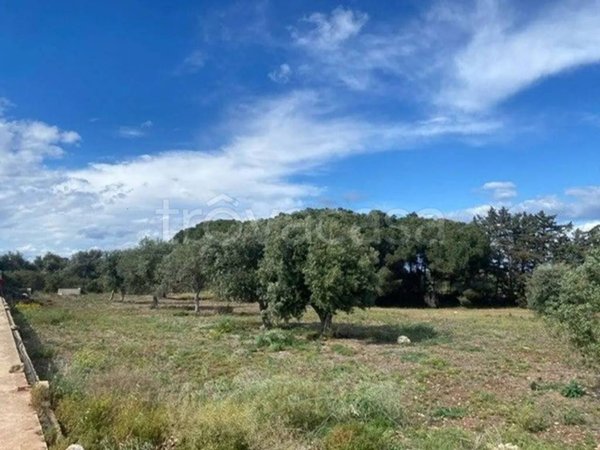 terreno agricolo in vendita a Siracusa in zona Isola / Plemmirio