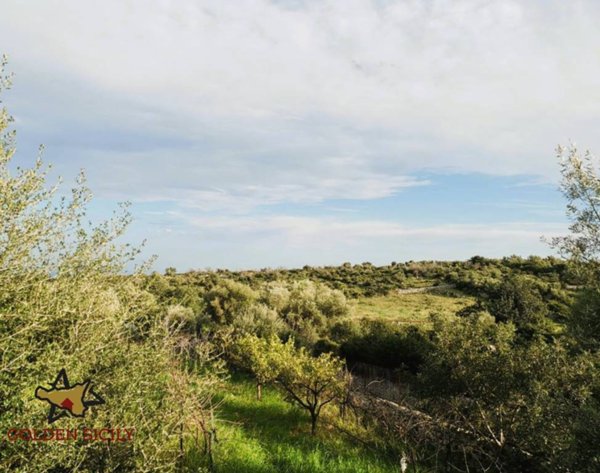 terreno agricolo in vendita a Siracusa in zona Belvedere