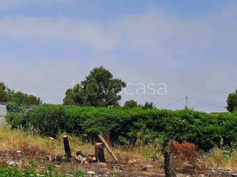 terreno agricolo in vendita a Siracusa in zona Isola / Plemmirio