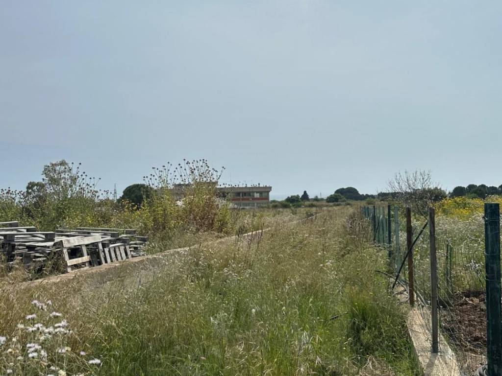 terreno agricolo in vendita a Siracusa in zona Targia