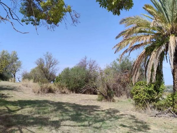 terreno agricolo in vendita a Siracusa in zona Belvedere