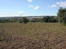 terreno agricolo in vendita a Siracusa in zona Targia