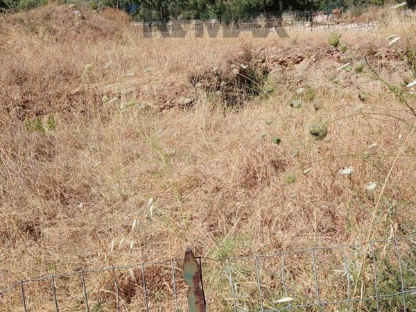 terreno agricolo in vendita a Siracusa in zona Belvedere