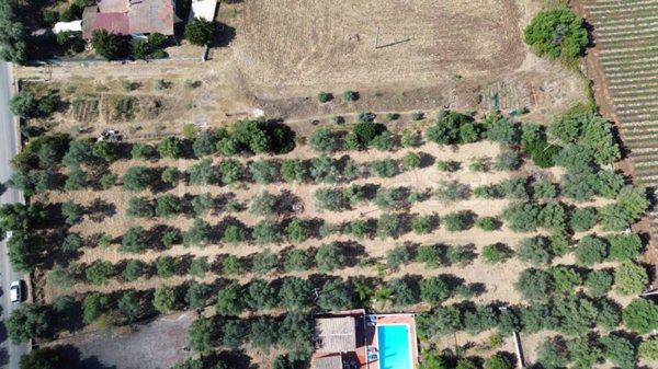 terreno agricolo in vendita a Siracusa in zona Targia