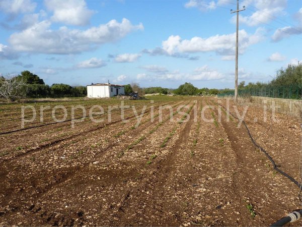 terreno agricolo in vendita a Siracusa in zona Targia