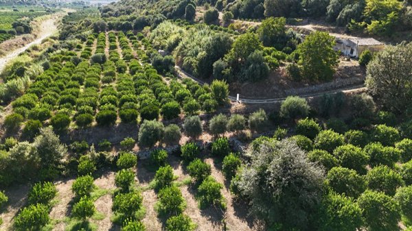 terreno agricolo in vendita a Solarino