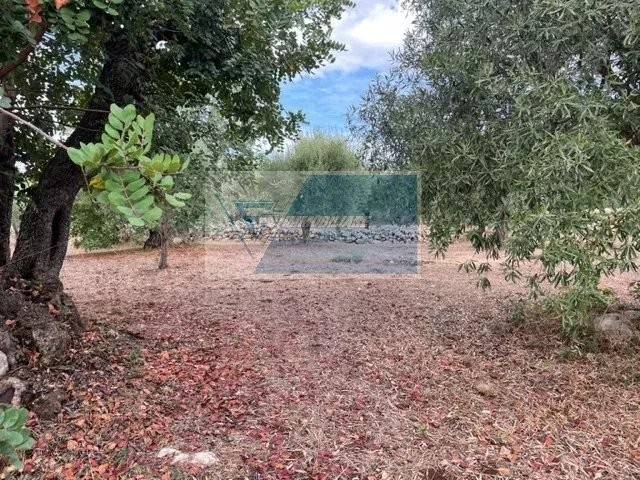 terreno agricolo in vendita a Solarino