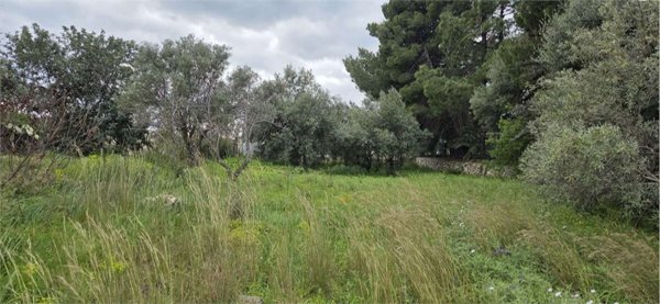 casa indipendente in vendita a Solarino