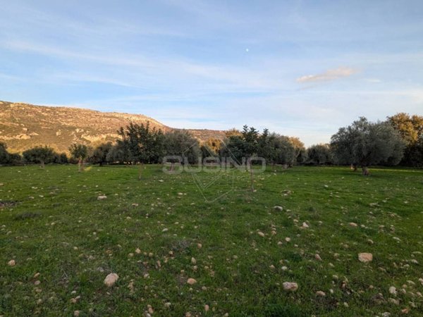 terreno agricolo in vendita a Sortino