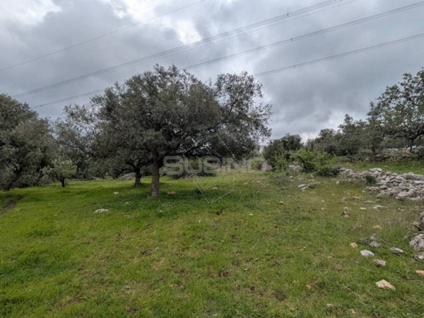terreno in vendita a Sortino
