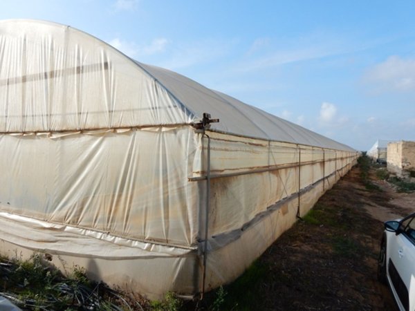azienda agricola in vendita a Portopalo di Capo Passero