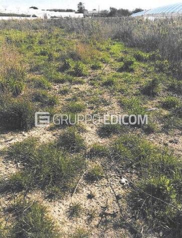 terreno agricolo in vendita a Portopalo di Capo Passero