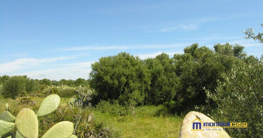 locale di sgombero in vendita a Portopalo di Capo Passero