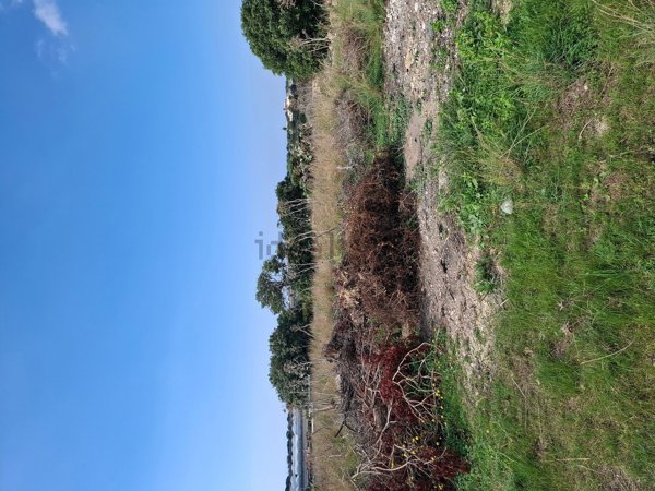 terreno agricolo in vendita a Portopalo di Capo Passero