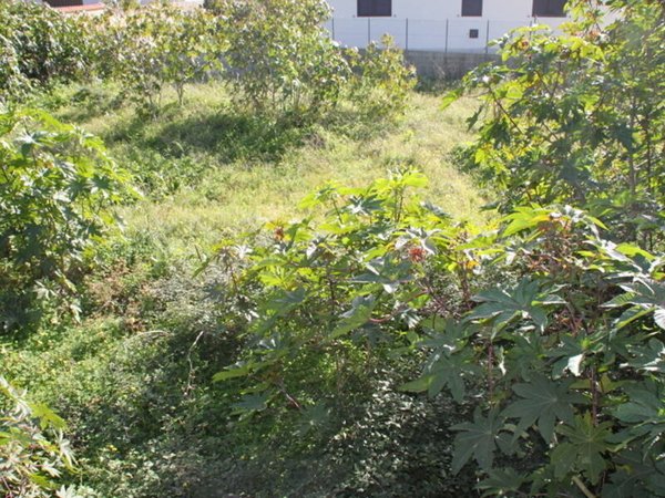 terreno edificabile in vendita a Priolo Gargallo