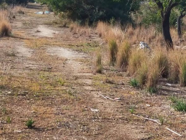 terreno agricolo in vendita a Priolo Gargallo