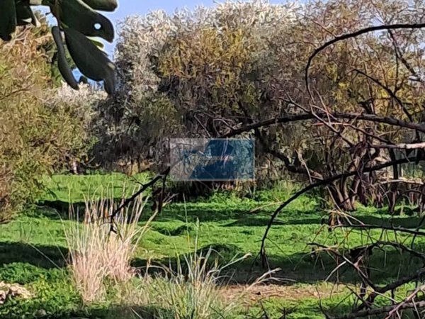 terreno agricolo in vendita a Priolo Gargallo