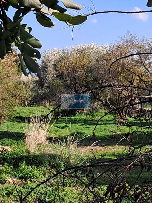 terreno agricolo in vendita a Priolo Gargallo