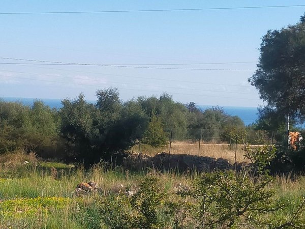 terreno agricolo in vendita a Priolo Gargallo