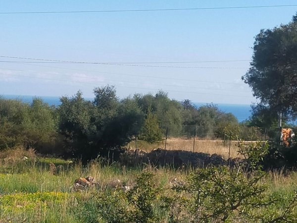 terreno agricolo in vendita a Priolo Gargallo