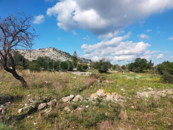 terreno agricolo in vendita a Priolo Gargallo
