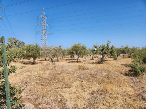 terreno agricolo in vendita a Priolo Gargallo