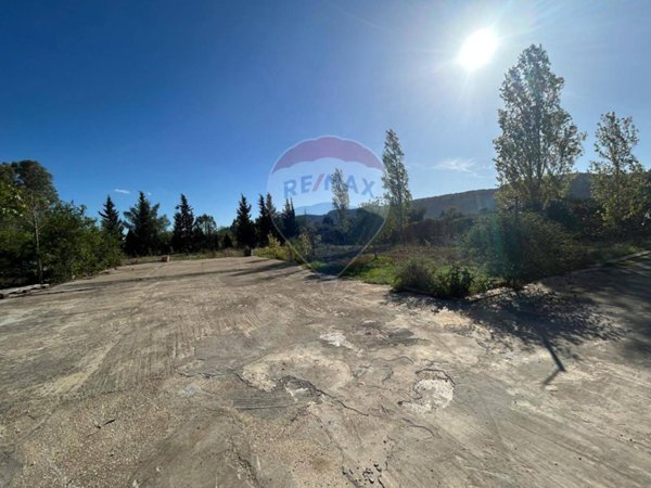 immagine annuncio 0 di 15