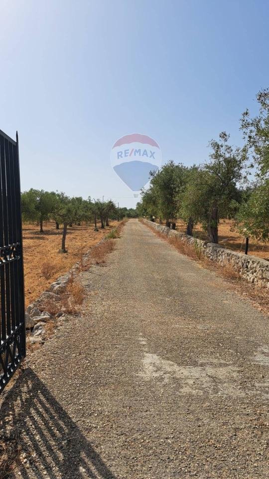 terreno agricolo in vendita a Priolo Gargallo