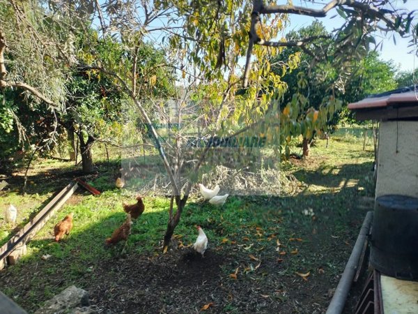 casa indipendente in vendita a Priolo Gargallo