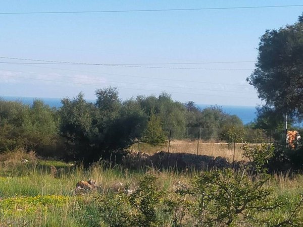 terreno agricolo in vendita a Priolo Gargallo