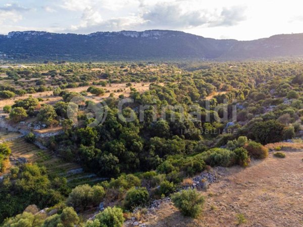 terreno agricolo in vendita a Priolo Gargallo