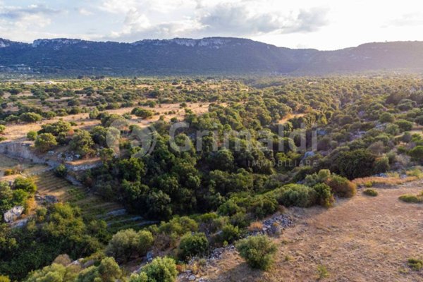 terreno agricolo in vendita a Priolo Gargallo