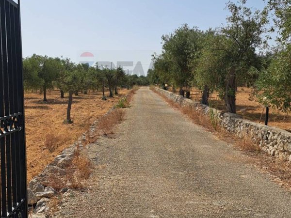terreno agricolo in vendita a Priolo Gargallo