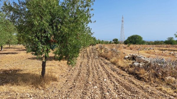 terreno in vendita a Priolo Gargallo