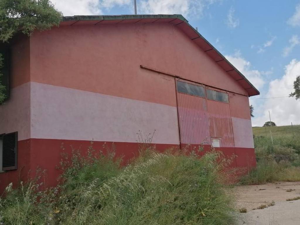 locale commerciale in vendita ad Aggius