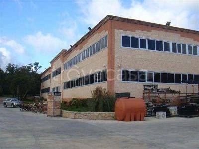 ufficio in vendita ad Aggius