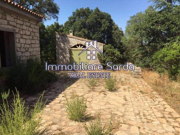 terreno agricolo in vendita ad Aggius