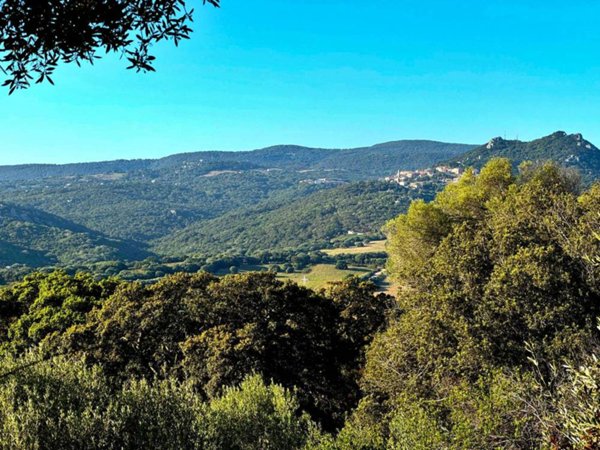 terreno agricolo in vendita ad Aggius