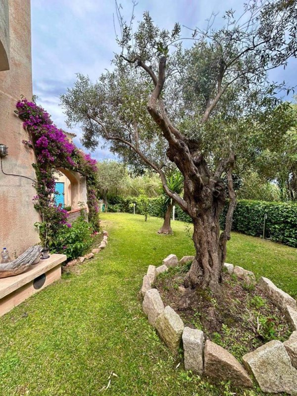 casa indipendente in vendita ad Aggius