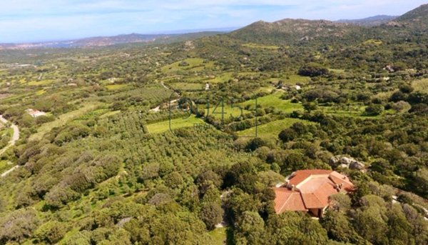 casa indipendente in vendita ad Aggius