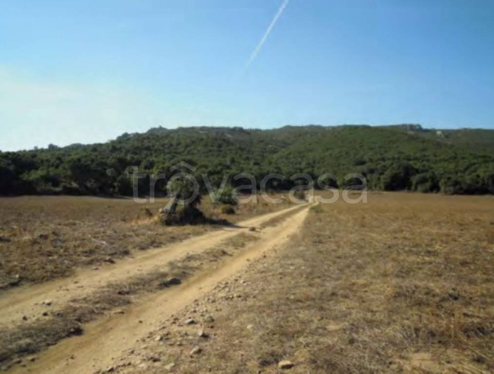 terreno agricolo in vendita ad Aggius