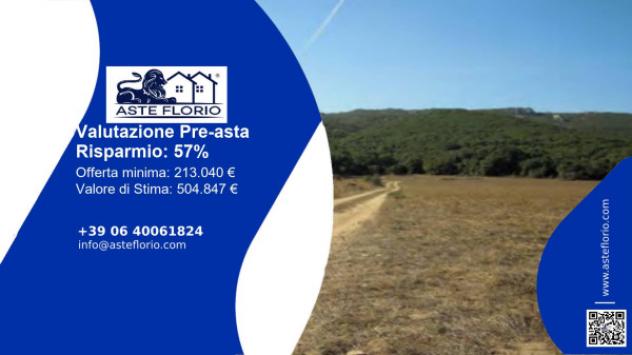 terreno agricolo in vendita ad Aggius