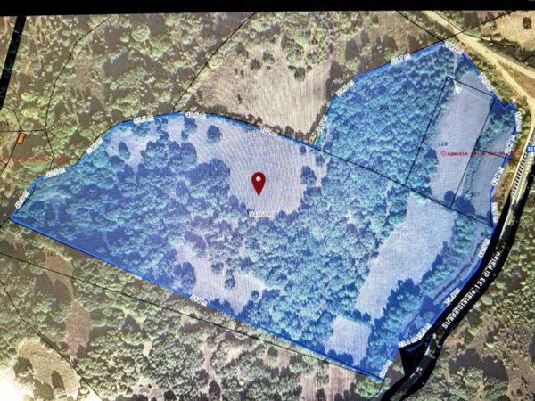 terreno agricolo in vendita ad Aggius
