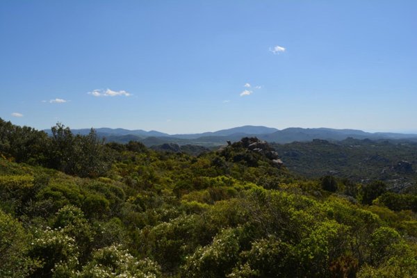 casale in vendita ad Aggius